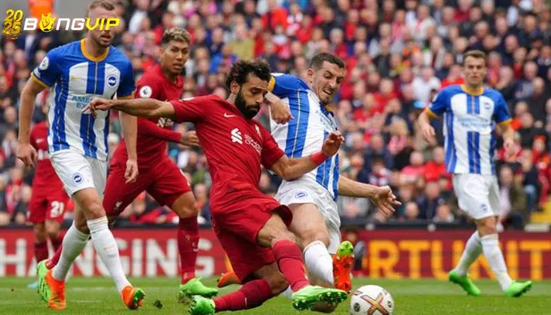 Soi kèo Brighton vs Liverpool 20/05 giải Premier League Phong độ Brighton ở soi kèo Brighton vs Liverpool